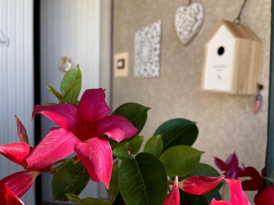 Annali Casa Vacanze - Shabby Style Nella Natura La Spezia Luaran gambar